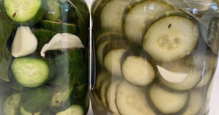 Fermented Pickles