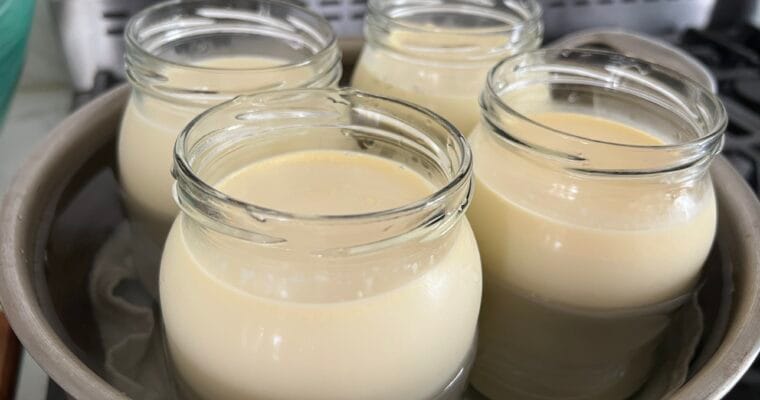 Yogurt from Raw Milk